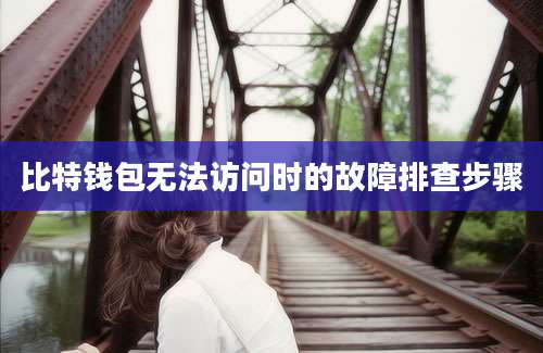 比特钱包无法访问时的故障排查步骤
