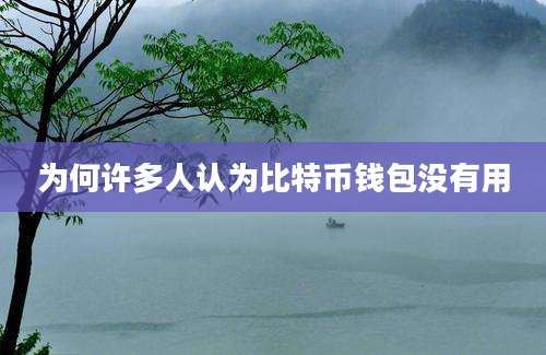 为何许多人认为比特币钱包没有用