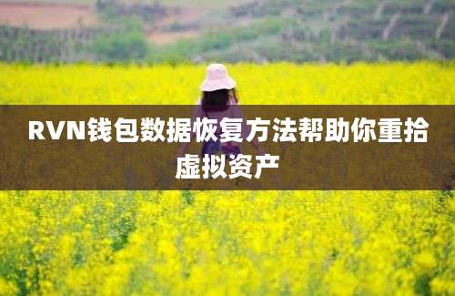 RVN钱包数据恢复方法帮助你重拾虚拟资产