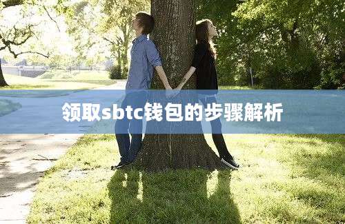领取sbtc钱包的步骤解析