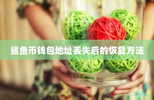鲨鱼币钱包地址丢失后的恢复方法
