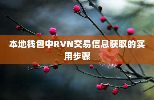 本地钱包中RVN交易信息获取的实用步骤