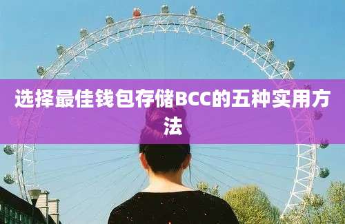 选择最佳钱包存储BCC的五种实用方法