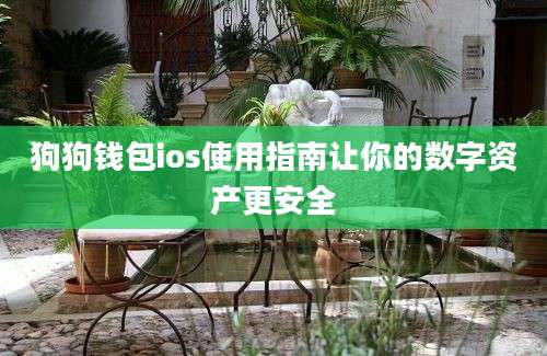 狗狗钱包ios使用指南让你的数字资产更安全