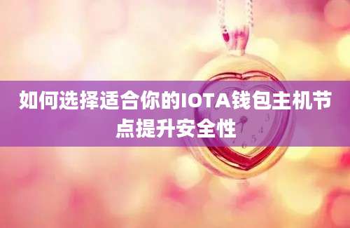 如何选择适合你的IOTA钱包主机节点提升安全性