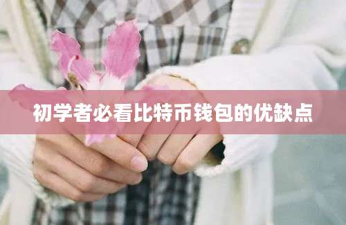 初学者必看比特币钱包的优缺点