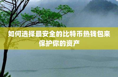 如何选择最安全的比特币热钱包来保护你的资产