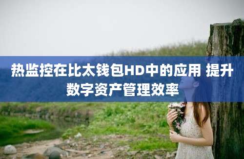 热监控在比太钱包HD中的应用 提升数字资产管理效率