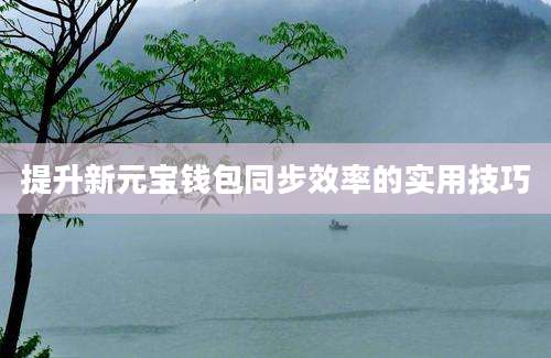 提升新元宝钱包同步效率的实用技巧