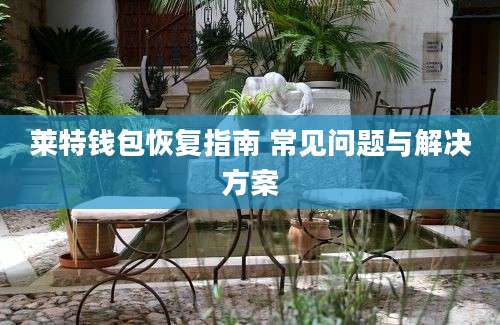 莱特钱包恢复指南 常见问题与解决方案
